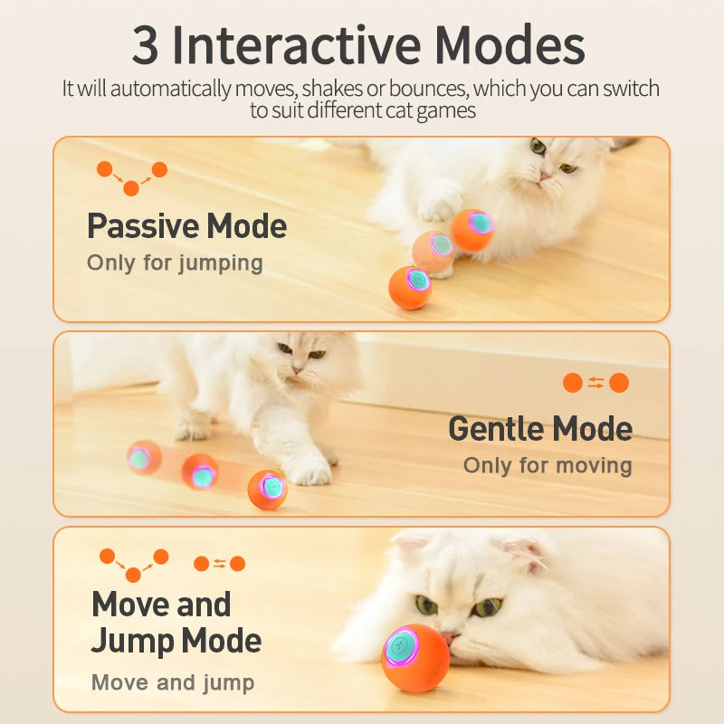 Whirl & Pounce – Smart Bouncing Ball Toy