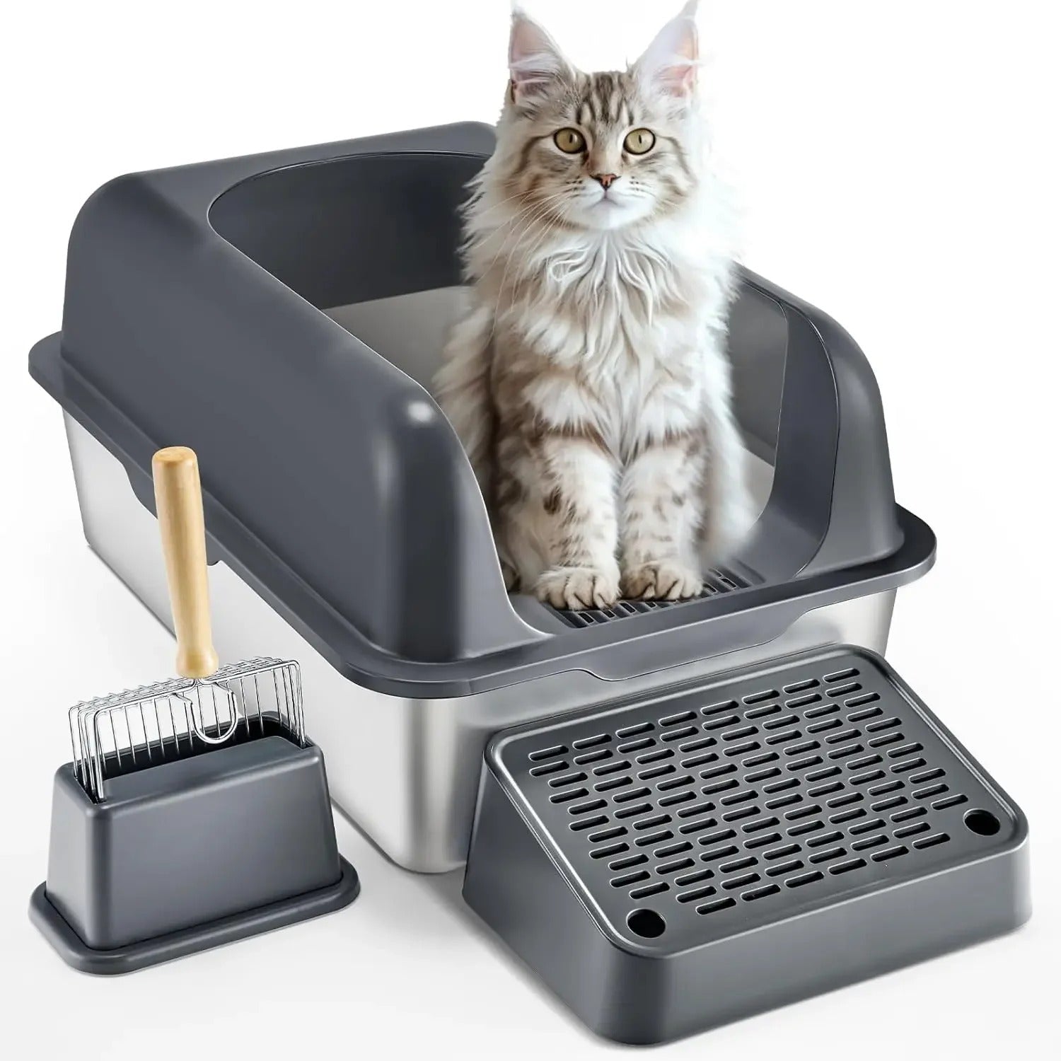 Purrsonal Care