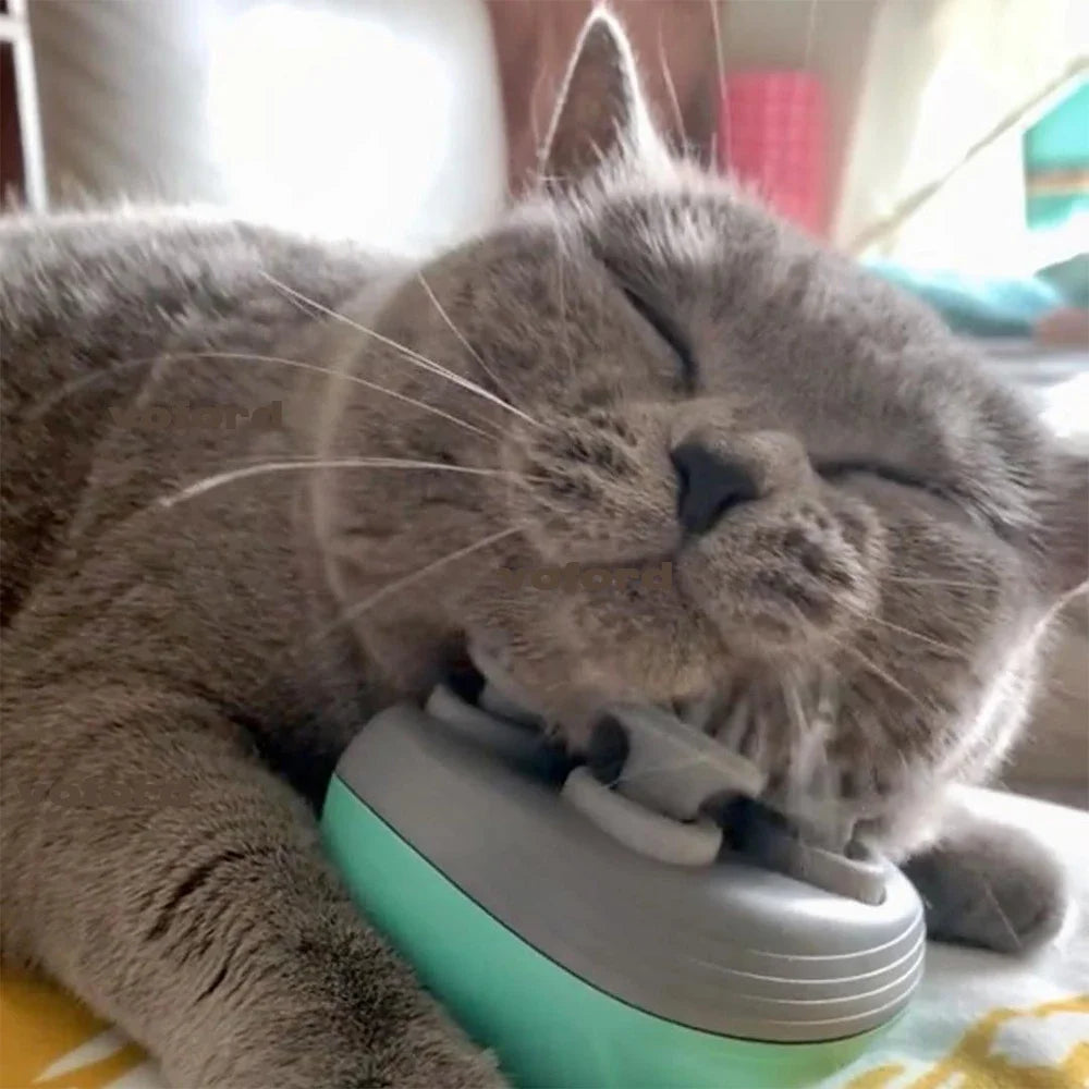 Electric Cat Massager – Head & Back Scratcher for Tension Relief & Pet Massage
