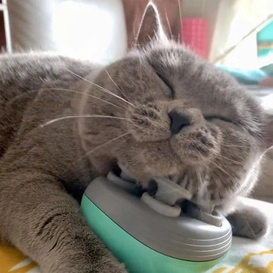 Electric Cat Massager – Head & Back Scratcher for Tension Relief & Pet Massage