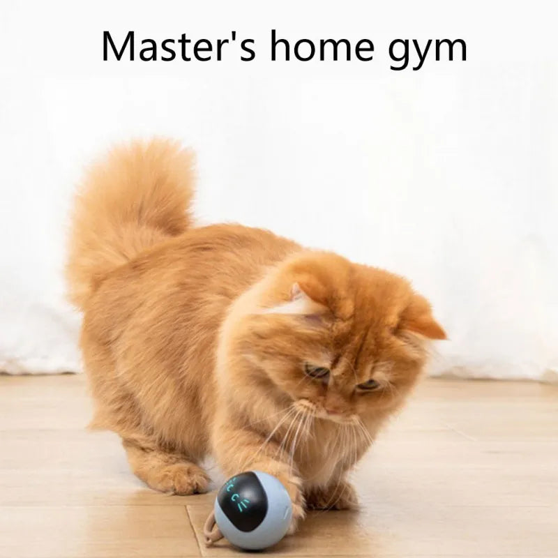 Interactive Auto Rolling - Smart LED Cat Ball