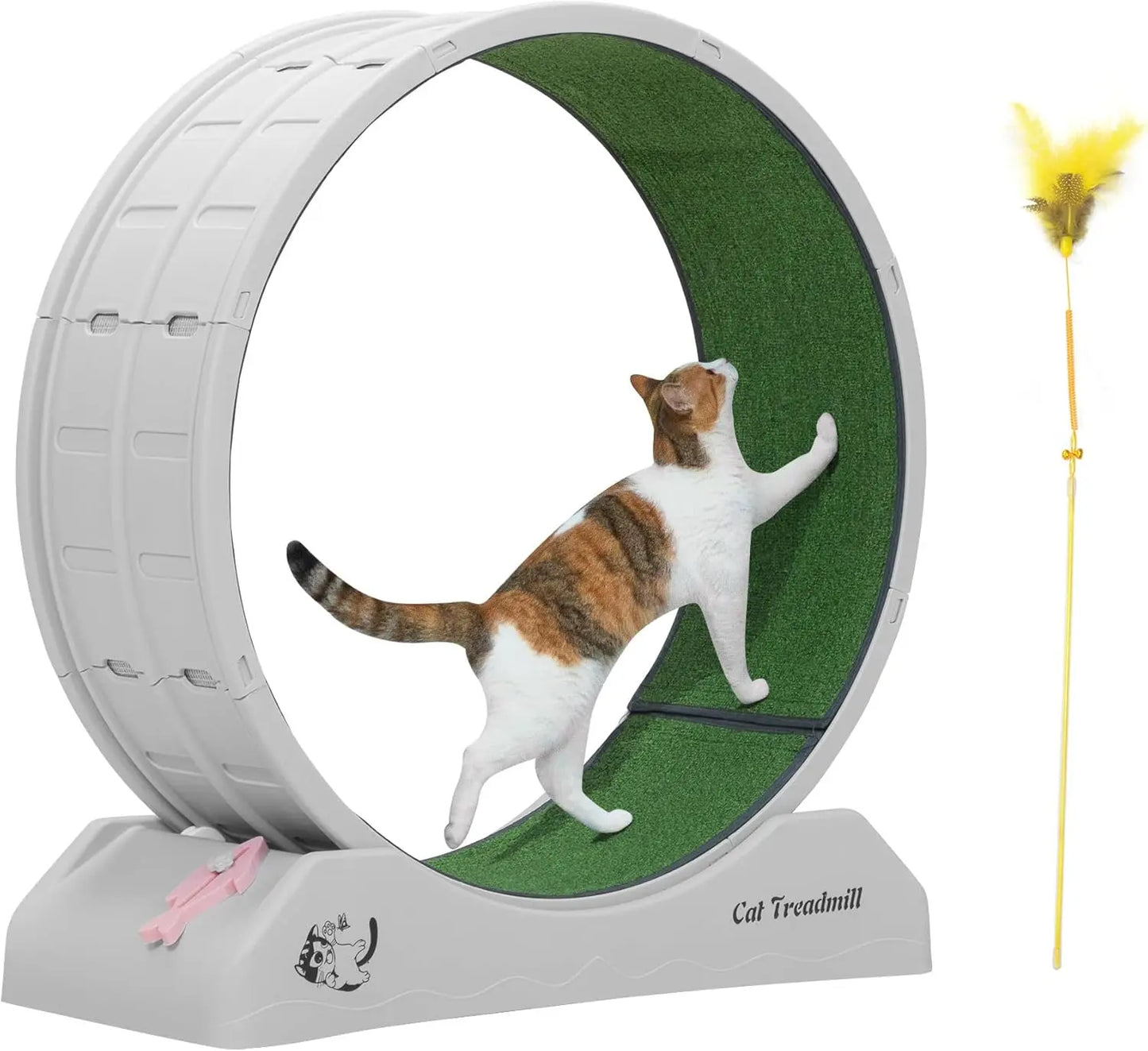 Cat Exercise Wheel – Treadmill with Locking Mechanism & Carpeted Runway
