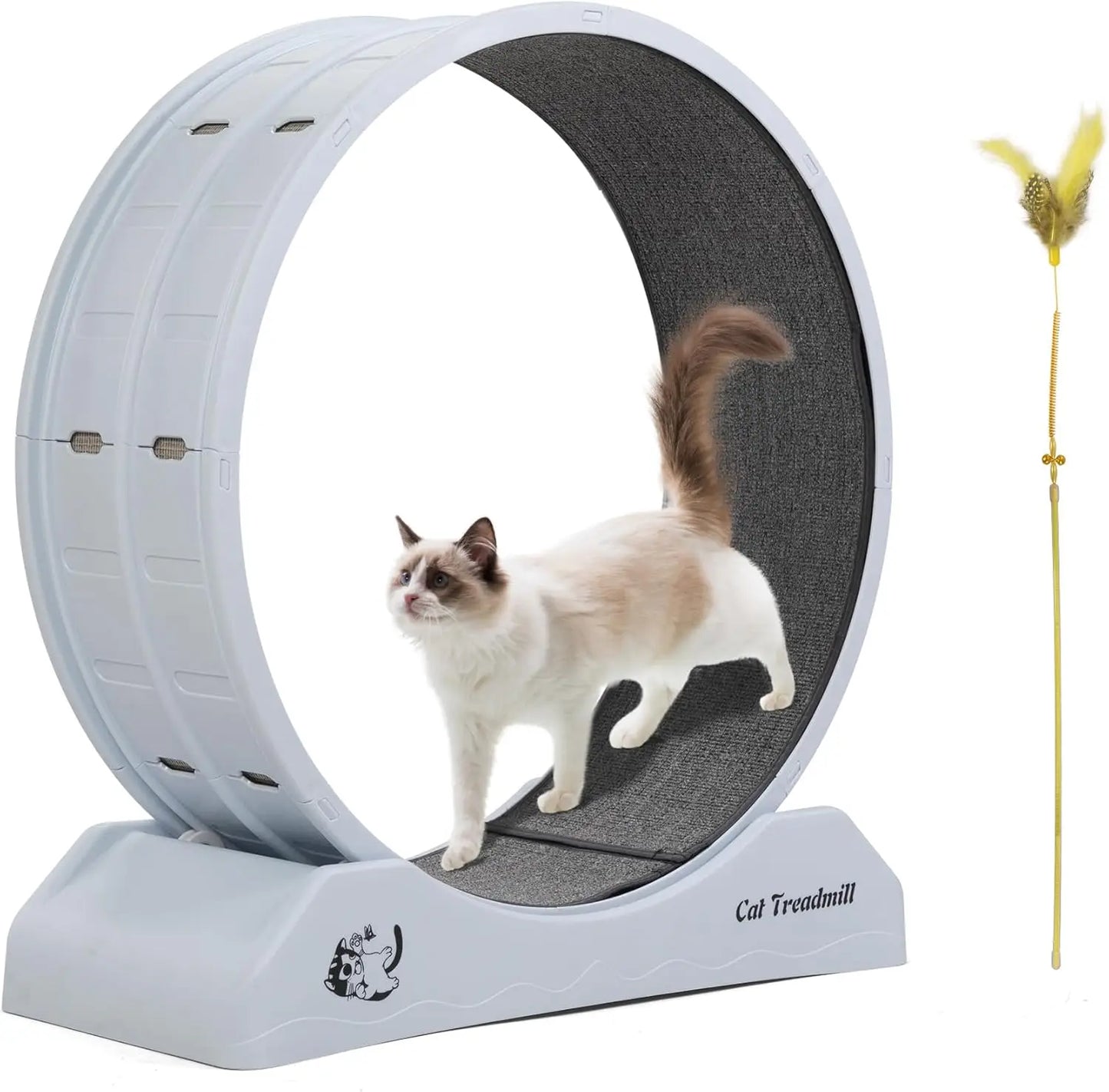 Cat Exercise Wheel – Treadmill with Locking Mechanism & Carpeted Runway