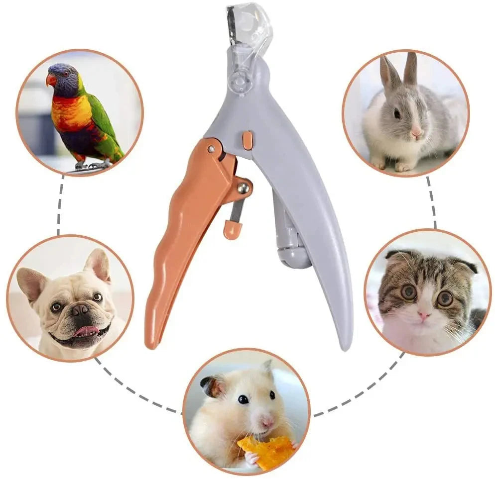Professional Pet Nail Clipper Scissors with LED Light – Cat & Dog Nail Clippers Tool