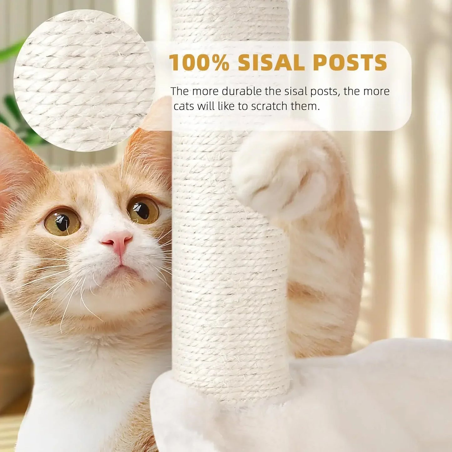 Hammock & Condo Cat Tower