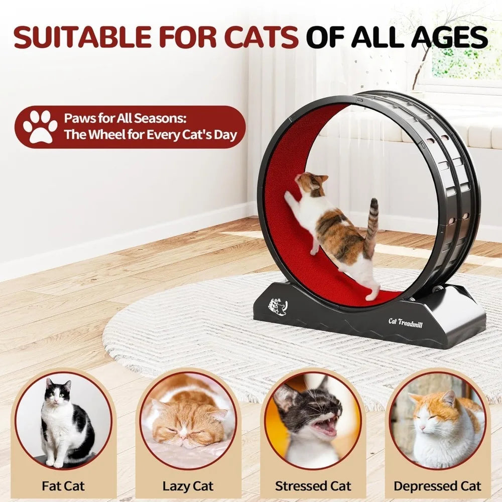 Cat Exercise Wheel – Treadmill with Locking Mechanism & Carpeted Runway
