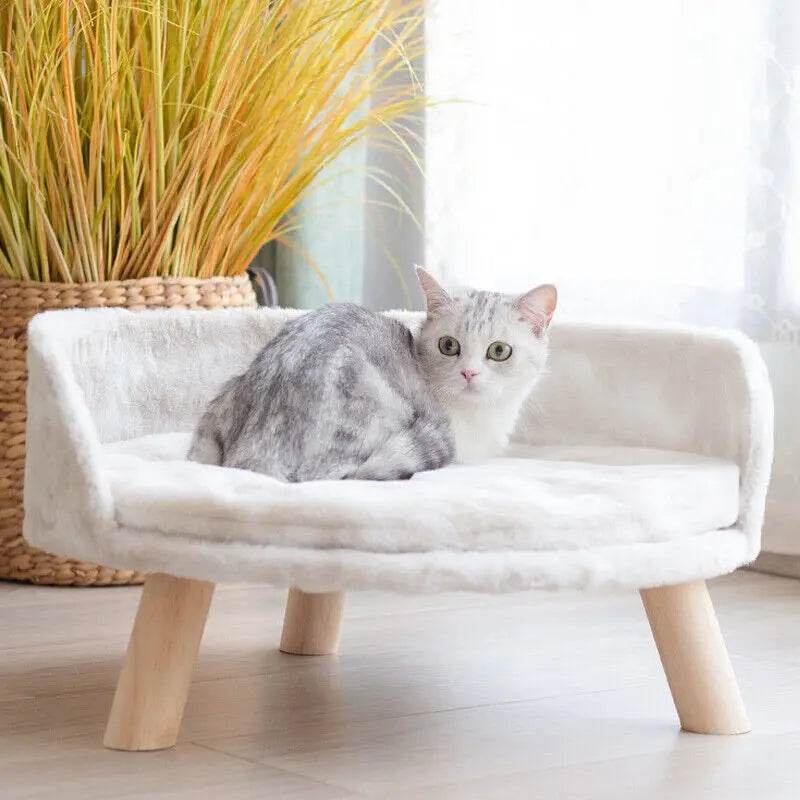 Cozy Luxe Cat Lounger - Elevated Cat Nest